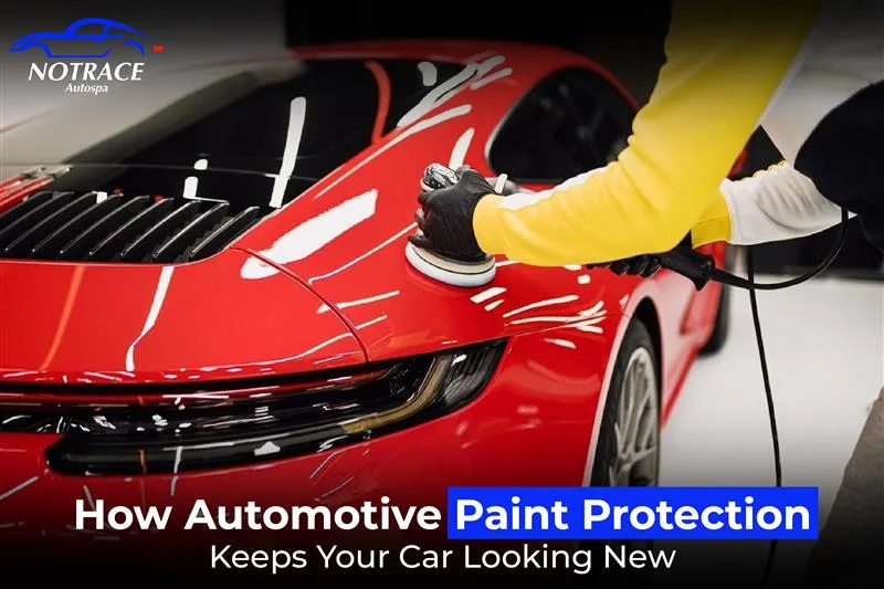 How Automotive Paint Protection Keeps Your Car Looking New